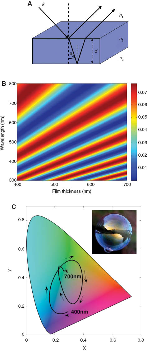 Figure 2 (A) Schematic of interference in a thin dielectric film of thickness d and RI=n2, (B) reflectance map for a thin dielectric film (representing a soap bubble film) with n1=n3=1.00 and n2=1.33 for film thicknesses ranging from 400 nm to 700 nm, the colour-scale axis represents reflected intensity (indicated in the labelled colour scale bar). (C) CIE colour map, with a CIE-coordinate trace for the film modelled in (B) at normal incidence; black arrowed line represents the way in which normal incidence reflection changes with increase in film thickness, from 400 nm to 700 nm. (Inset: photograph of a typical colour reflection from a soap bubble).