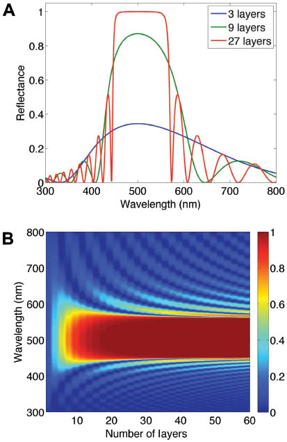Figure 3 (A) Normal incidence reflectance of an ideal multilayer for 3, 9 and 27 layers, and (B) a reflectance map showing the theoretical variation of normal incidence reflectance with increasing layer number, the colour-scale axis represents reflected intensity (indicated in the labelled colour scale bar). Reflectance was calculated for a multilayer with λpeak=500 nm, n1=1.40 and n2=1.00.