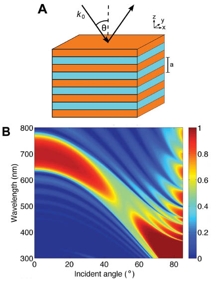 Figure 4 (A) A schematic diagram showing a generic multilayer having light incident with momentum components in the xz-plane, and (B) reflectance map showing the angle-dependence of unpolarised theoretical reflectance from an ideal multilayer with λpeak=700 nm at normal incidence, the colour-scale axis represents reflected intensity (indicated in the labelled colour scale bar).