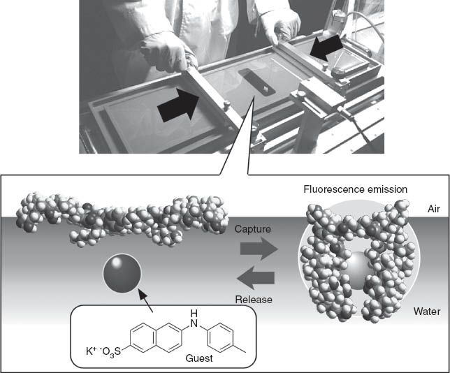 Figure 10 Fluorescence response based on capture and release of guest molecules by mechanical force.