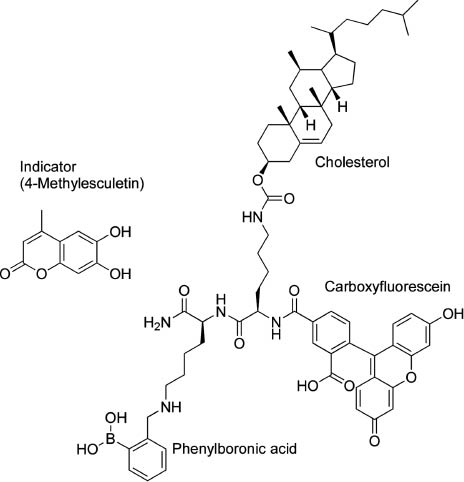 Figure 11 Molecular design for a mechanically-controlled indicator displacement assay.