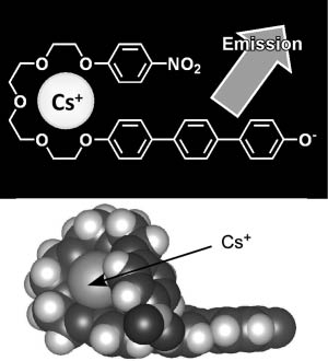 Figure 5 A fluorescence probe for caesium detection: structure and models for caesium inclusion.