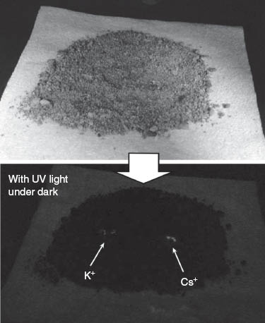 Figure 6 Fluorescence detection of caesium ions with potasium ion as a control.