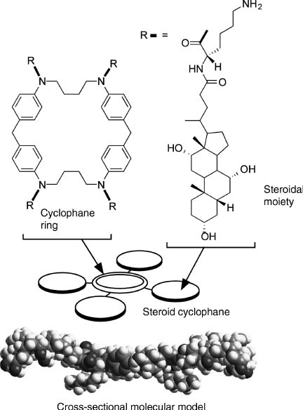 Figure 9 Steroid cyclophane as a molecular machine.