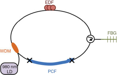 Figure 9 Schematic depiction of a fiber laser using a PCF for signal enhancement (LD – Laser Diode), adapted from [76].