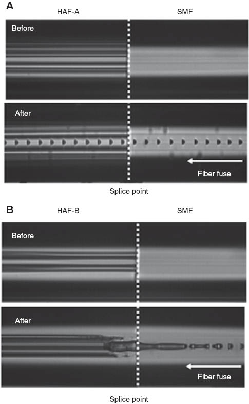 Figure 19 Side views of a splice point between (A) HAF-A and SMF and (B) HAF-B and SMF before and after fiber fuse propagation at an input power of about 8 W.