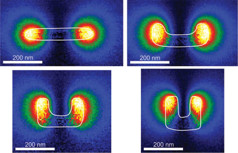 Figure 2 EELS maps taken on the same individual nano-antennas as in Figure 1 and at the spectral peak position apparent there. Likewise, the EEL spectra in Figure 1 are taken at the spatial locations with maximum EELS signal obvious from this figure. EEL spectra taken at several other locations (not depicted) show no significant difference in resonance position and width. The white lines highlight the edges of the antennas as extracted from the transmission-electron micrographs.