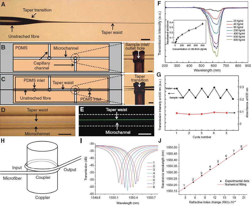Figure 16 MNF sensors. 
(A–G) Microfiber absorption sensor (Ref. [32]). (A) Biconical tapered fibre with a 900 nm diameter waist (MNF). Scale bars, 125 μm. (B–C) Cartoon and optical micrographs of microfluidic chip based MNF sensor fabrication procedures. (D) Optical micrograph of a 1.5-μm-diameter MNF guiding a laser with a wavelength of 473 nm embedded in a microchannel. (E) Optical micrograph of the fluorescence excited by evanescent field outside a 1.5-μm-diameter MNF. Scale bars, 125 μm. (F) Transmission spectra of different BSA concentrations for the 900 nm diameter MNF. Inset: absorbance at 633 nm wavelength versus BSA concentrations. The y -errors are determined from 3 repeated measures. (G) Cycling measurement with 500 pm MB solutions for a 900 nm diameter MNF. (H-J) Refractive-index sensor based on copper-rod-supported MNF loops (Ref. [28]). (H) Schematic side view of a copper-rod-supported microfiber loop. (I) Spectral shifts of a resonant peak caused by index change of the solution. The eight peaks are obtained by adding a 5-μl ethanol into a 500-μl water in steps. The loop is about 480 μm in diameter and is assembled with a 2.4-μm-diameter microfiber. (J) Resonant wavelength as a function of the refractive index change. The black dots are resonant wavelengths extracted from (I), and the numerical fitting is obtained with a calculated slope of 17.8 (nm/RIU).