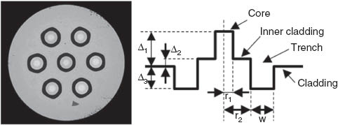 Figure 4 Cross sectional view of a fabricated TA-MCF and its index profile.