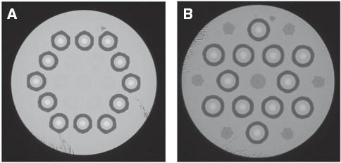 Figure 6 Cross sectional view of 12-core fiber with different structure: (A) One-ring structure. (B) Dual-ring structure.