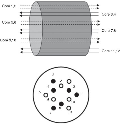 Figure 7 Concept of bi-directional signal assignment on a 12-core fiber with a dual-ring structure.
