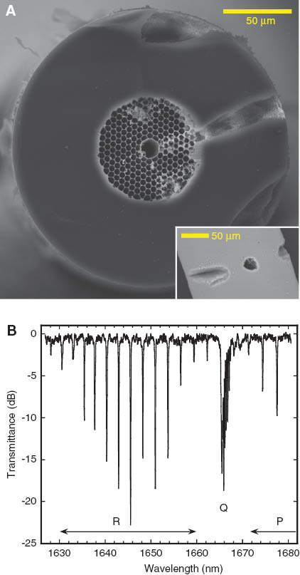 Figure 7 Gas sensing using HC-PBGFs. (A) Access side-channels fabricated via femtosecond laser micromachining. The channels connect the hollow core directly to the outside environment and provide for a much faster in-diffusion of gaseous species leading to a reduced sensor response time [78] (B) Detection of methane gas (CH4) at ~1.6 µm using a HC-PBGF [101].