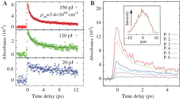 Figure 4 Time profile of transient absorbtion of the probe laser at 650 nm in a PTCDA thin film sample, at different pump (520 nm) intensities at the maximum of the focal spot (A), and at different points in the focal spot area (B) [8].