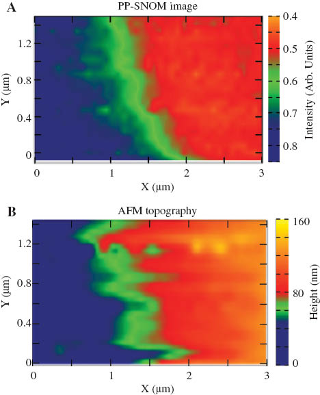 Figure 5 SNOM image of a 160 nm film of PTCDA, displaying transient absorption of the probe pulse at 650 nm, 200 fs after the pump excitation at 520 nm (A), and AFM topography (B) [8].