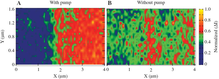 Figure 6 SNOM images of a 160 nm film of PTCDA displaying absorption of the probe pulse at 650 nm, 200 fs after the pump excitation at 520 nm (A), and without pump excitation (B). The images were taken without accumulation of laser pulses (single shot data points) [8].