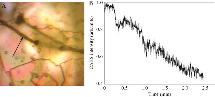 Figure 8 (A) Microscope image showing the micro channels burnt on to polydiacetylenecrystal surface (B) CARS signal intensity over time.