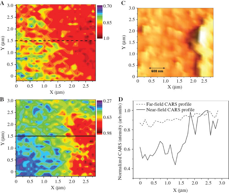 Figure 7 MicroCARS image (A), SNOM-CARS image (B), AFM topography (C) and CARS intensity profile (D), along a section parallel to the x direction of the images (3×3 μm2 area) are displayed. The color code has been adapted to the full intensity range of the image. The P3HT structure seen on the right side of the AFM image has a thickness of ≈145 nm [14].