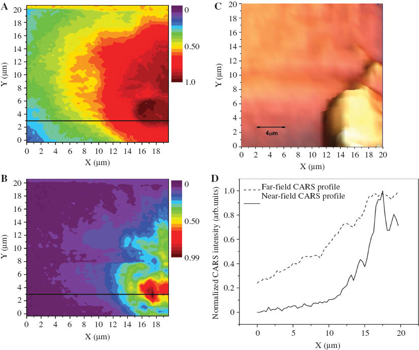 Figure 9 MicroCARS image (A), SNOM-CARS image (B), AFM topography (C) and CARS intensity profile (D), along a section parallel to the x direction of the images (20×20 μm2 area) are displayed. The color code has been adapted to the full intensity range of the image. The P3HT roughness feature on the right side of the AFM image has a thickness of ≈1.5 μm [14].