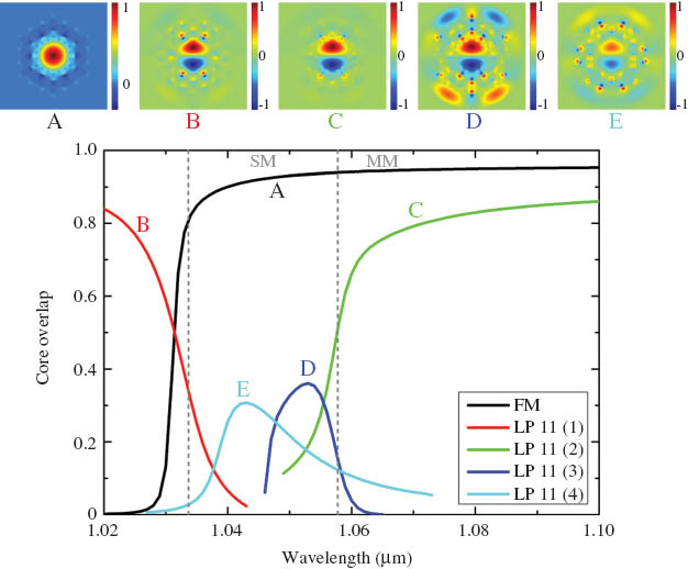 Figure 15 Core overlap as a function of wavelength. The FM has high core overlap in the SM region, while the HOMs are efficiently suppressed due to resonant coupling with the DMF elements in the cladding structure.