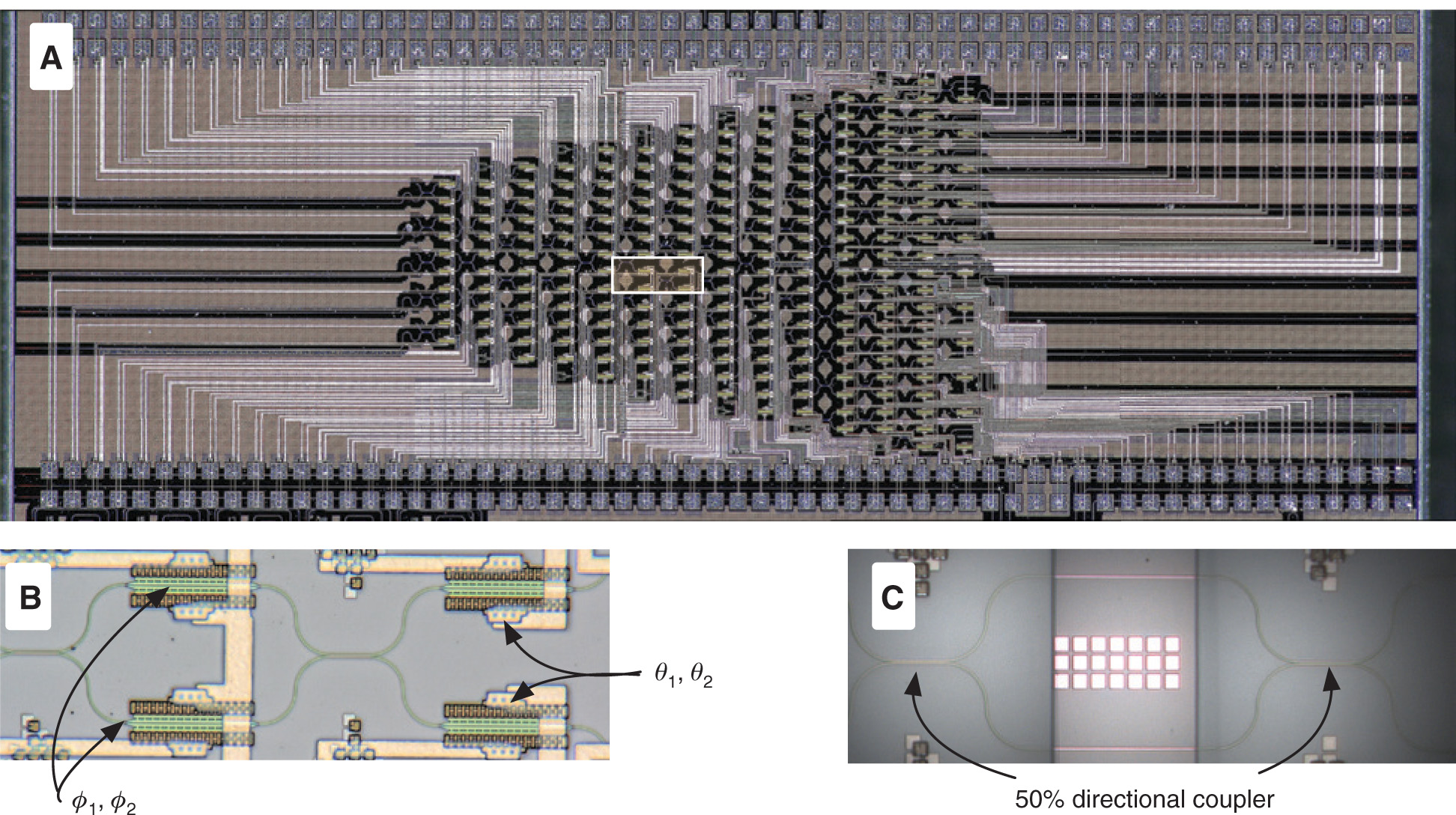 Figure 3 Optical micrographs of QPP fabricated in a silicon photonics platform. (A) The QPP measures 4.9 mm by 1.7 mm and is composed of 56 Mach-Zehnder interferometers, 213 phase shifters, and 112 directional couplers. The average RBS visibility was measured to be 0.9993±0.0002. (B) Single RBS unit cell with two internal and two external low-loss phase shifters. (C) RBS unit cell test structure without phase shifters. Waveguides and directional couplers are shown.