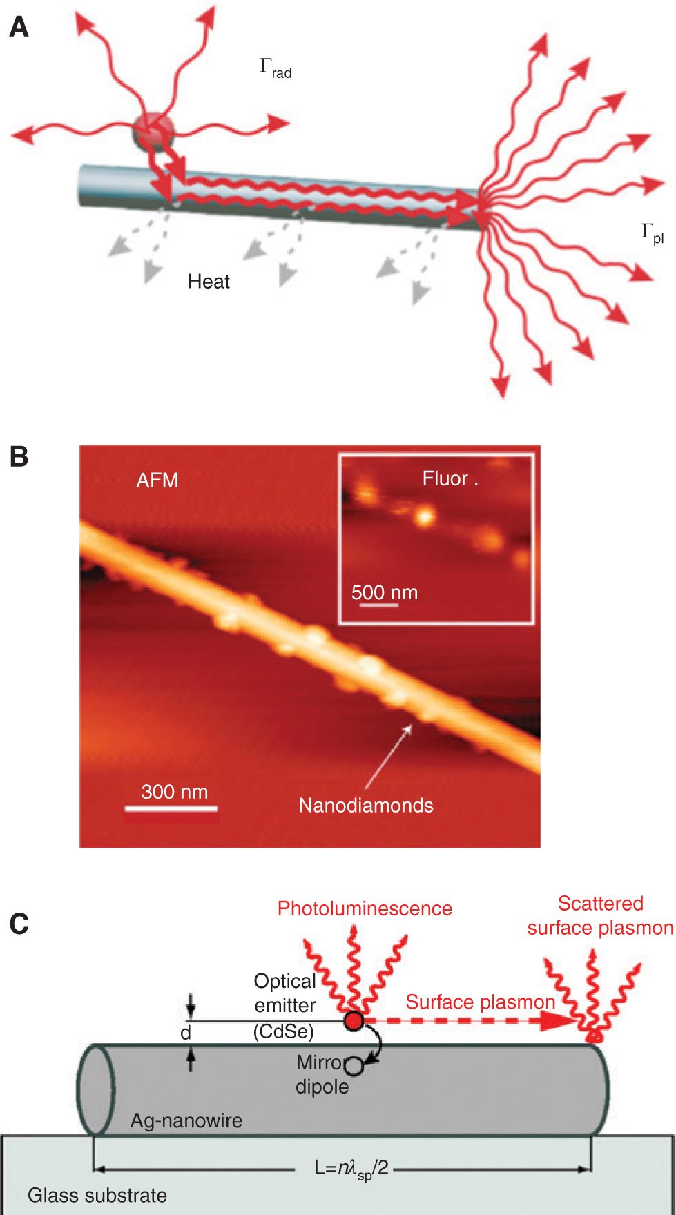 Figure 3 Experimental approaches on random single emitter surface plasmon coupling. (A) Single CdSe colloidal QDs are placed next to single silver nanowires, separated by a PMMA spacer layer from the nanowire [45]. (B) AFM image of a silver nanowire with adhered nanodiamonds containing single NV centers [41]. (C) CdSe colloidal QDs placed on a silver nanowire, separated by a SiO2 spacer layer [46].