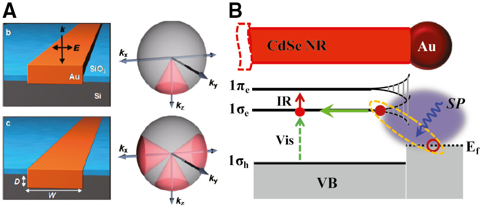 Figure 7: Improving the hot electron transfer efficiency.(A) Embedding plasmonic nanostructures provides more electron escape cones than planar devices. (B) Electronic band structure of a CdSe-Au interface showing the plasmon-induced interfacial charge-transfer transition. The plasmon decay directly creates an electron in the conduction band of the semiconductor and a hole in the metal. Figures adapted with permission from: (A) Ref. [86], ©2013 American Chemical Society; (B) Ref. [157], ©2015 American Association for the Advancement of Science.