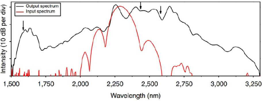 Fig. 22 An octave spanning coherent supercontinuum. The spectrum of the 60 fs long, 225 W peak power pump pulses is spectrally broadened over more than an octave in a 1 cm long, 1600 nm wide and 390 snm high, slightly overetched waveguide. Adapted from reference [66].