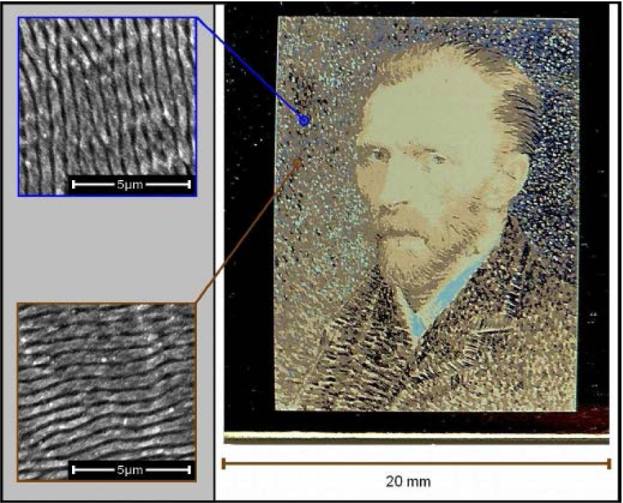 Figure 3 (a) Color printing on a stainless steel surface by nanoripple formation using a femtosecond laser. The image was obtained usinga typical reading scanner. (b) SEM images of controlled nanostructures with different orientations created at different positions and showing different colors [32]. Reproduced with permission from The Optical Society of America, ©2010 by The Optical Society of America.