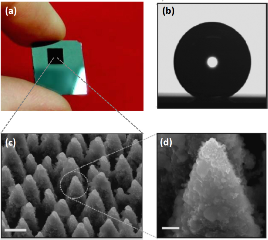 Figure 4 (a) Photograph of a black Si area where a Si substrate was textured using a femtosecond laser in a halogen atmosphere. Courtesy of Emmanuel I. Stratakis. (b) Static contact angle measurement of a 0.78-mm radius water droplet on the textured surface; the contact angle was measured as about 154°. (c) SEM image of the textured surface comprised of protrusions with conical or pyramidal asperities with average sizes of about 10 μm at a surface density of 1.0 × 106 cm−2 (scale bar 5 μm). (d) Magnified image of a single protrusion in (c), which depicts nanostructures with sizes up to few hundred nanometers on the slopes of the protrusions (scale bar 1 μm) [44]. Reproduced with permission from Wiley, ©2008 by Wiley.