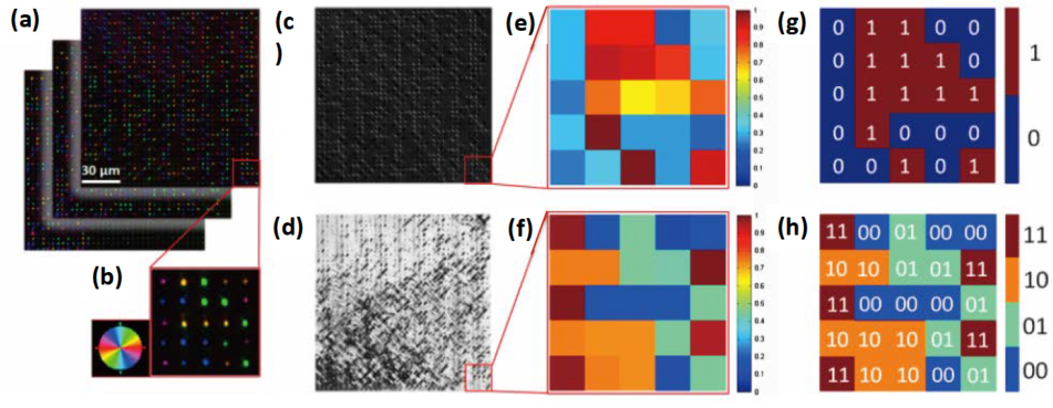 Figure 11 Five-dimensional data storage readout. (a) Birefringence measurement of the data recorded in three different layers in depth. (b) Enlarged 5 × 5 dots array. (c) Retardance distribution retrieved from the top data layer. (d) Slow axis distribution retrieved from the top data layer. (e, f) Enlarged normalized retardance matrix and slow axis matrix from (b). (g, h) Final binary data retrieved from (e) and (f) [95]. Reproduced with permission from American Physical Society, ©2008 by American Physical Society.