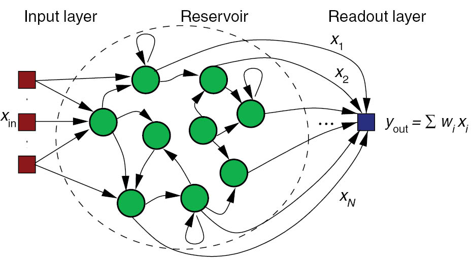 Figure 1: Standard layout of a reservoir computer, comprising an input layer (red), the reservoir (green) with randomized but fixed connections, and the linear readout layer (blue). Here, for simplicity a one-dimensional readout layer is drawn (l=1).