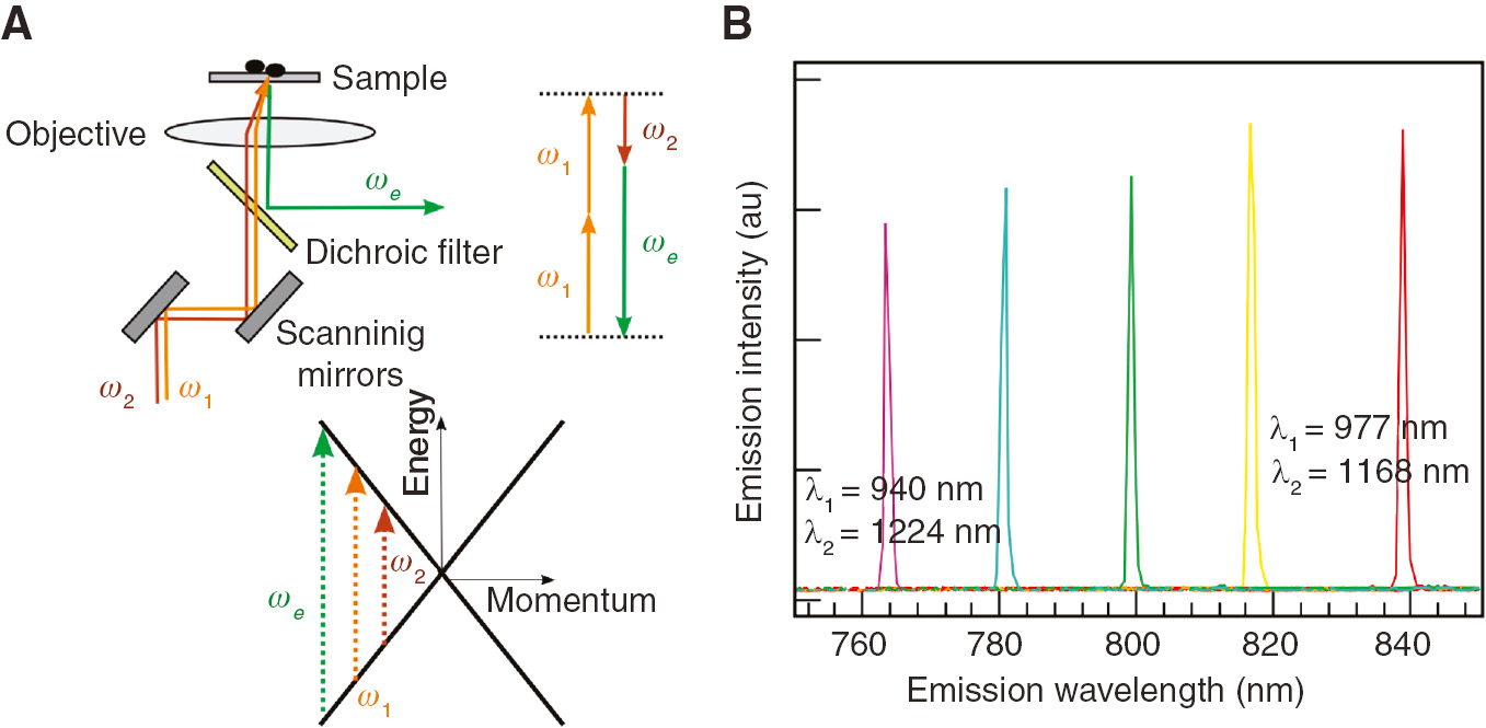 Figure 13: (A) Diagram of energy conservation in four-wave processes, which are based on the linear band structure of graphene with the three-photon energies (arrows) involved. Experimental layout, indicating the pump beams with frequencies ω1, ω2, and the emission beam with frequency ωe . (B) Emission spectra of a graphene flake excited with pump light of different wavelengths (λ1, λ2): (940 nm, 1224 nm), (950 nm, 1210 nm), (958 nm, 1196 nm), (967 nm, 1183 nm), and (977 nm, 1168 nm) [113].