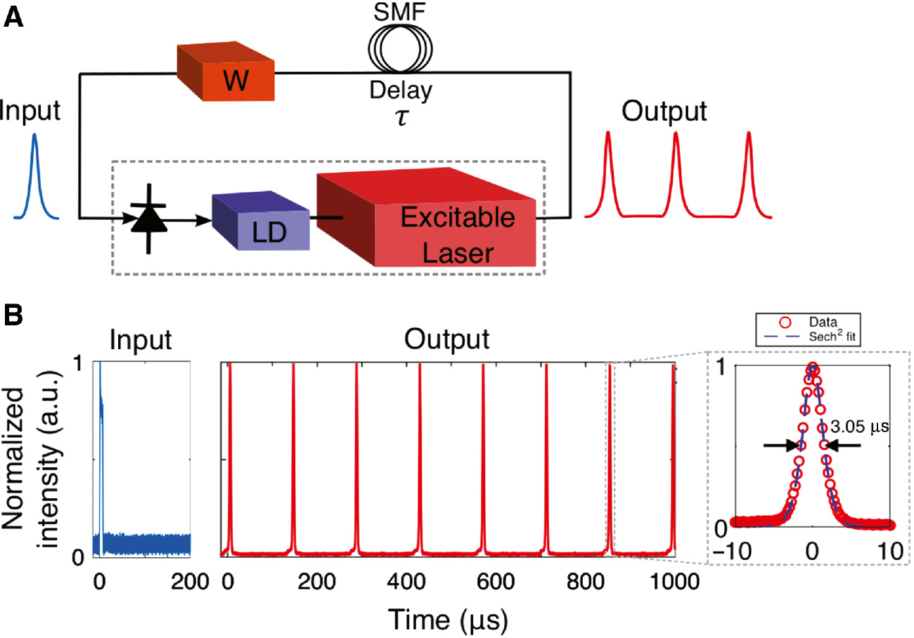 Figure 6: Self-recurrent bistable circuit.(A) Set-up to test the self-referent connection. (B) Input and output waveforms. The first output pulse is fed back to the input after being delayed by ~100 μs, which initiates another excitatory pulse at the output. This recursive process results in a train of output pulses “ad eternum” at fixed intervals. Inset shows an output pulse profile and sech2 fitting curve. Reproduced from Shastri et al. [39]. Licensed under CC BY.