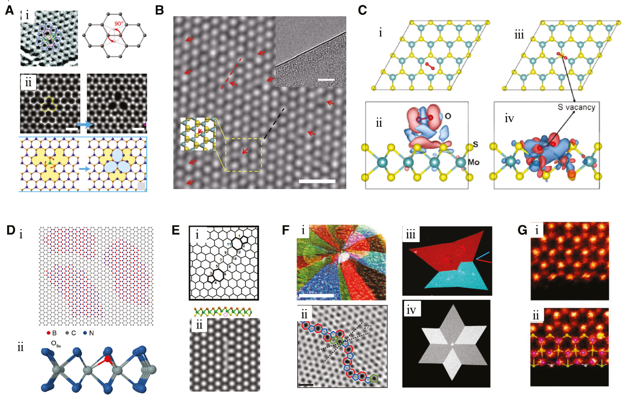 Figure 1: The types of defects in 2D materials. (A) SW defects. (i) High-resolution transmission electron microscopy (HRTEM) image of SW defects in graphene. Reprinted with permission from [51]. Copyright 2008 American Chemical Society. (ii) The filtered annular dark-field images of SW defects in WSe2 (top) and the atomic model of T0 to T1 transformation (bottom). Reprinted with permission from [34]. Copyright 2015 Nature Publishing Group. (B) Atomic structure of a monolayer MoS2 by aberration-correct TEM. Reprinted with permission from [21]. Copyright 2013 Nature Publishing Group. The SVs are highlighted by red arrows. (C) Relaxed configuration and charge density difference of an O2 molecule physisorbed on perfect monolayer MoS2 (i, ii) and chemisorbed on defective monolayer MoS2 (iii, iv). Reprinted with permission from [33]. Copyright 2014 American Chemical Society. (D) Atomic model of substitutional impurities. (i). C atoms substituted by B and N atoms in graphene. Reprinted with permission from [52]. Copyright 2010 Nature Publishing Group. (ii) substitutional oxygen in TMDs. Reprinted with permission from [53]. Copyright 2015 American Chemical Society. (E) Line defects. (i) Line defects formed from aligned vacancy structures in graphene. Reprinted with permission from [54]. Copyright 2008 American Physical Society. (ii) SV line defects in MoS2. Reprinted with permission from [55]. Copyright 2013 American Physical Society. (F) GBs. (i, ii) TEM image of GBs in graphene. Reprinted with permission from [56]. Copyright 2011 Nature Publishing Group. (iii, iv) Dark-field TEM image of polycrystalline MoS2 islands with tilt and mirror twin GBs. Reprinted with permission from [57]. Copyright 2013 Nature Publishing Group. (G) Edges. Reprinted with permission from [28]. Copyright 2013 American Chemical Society (i) regular Mo-terminated edge of MoS2. (ii) Reconstruction of the Mo-terminated edge.