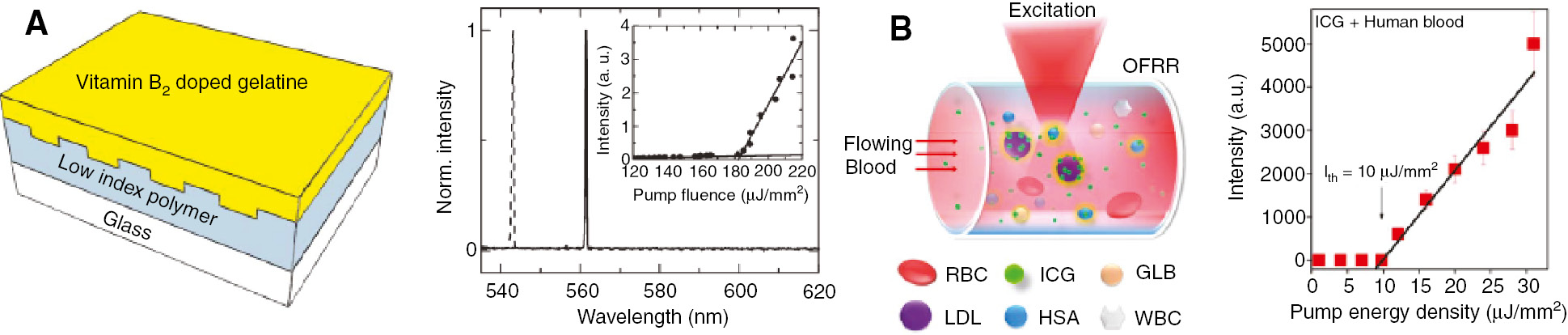 Figure 1: Bioinspired optofluidic laser sources.(A) Left: schematic view of DFB laser with vitamin-doped gelatin layer as active medium; right: corresponding lasing spectrum (inset: L-I curve) showing single-mode emission under optical pumping (after [24]). (B) Left: schematic view of optically pumped “blood laser” realized in OFRR illustrating components in serum (GLB, globulins; HAS, human serum albumin; ICG, active dye medium; WBC, white blood cells); right: corresponding L-I curve under optical pumping (after [27]).