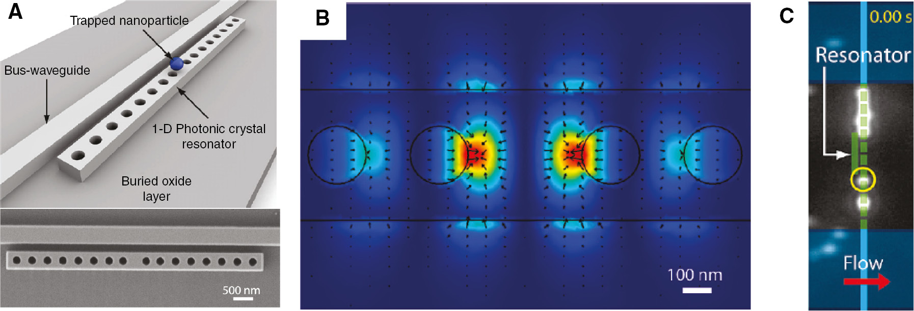 Figure 3: Photonic crystal resonator for on-chip particle trapping.(A) Schematic (top) and SEM (bottom) of 1D optofluidic photonic crystal resonator. (B) 3D FEM simulation showing strong field confinement within the 1D resonator cavity (red color indicates large forces). Black ARROWs: direction and magnitude of the optical forces. (C) 500 nm polystyrene particle (yellow circle) trapped on top of the waveguide [72].