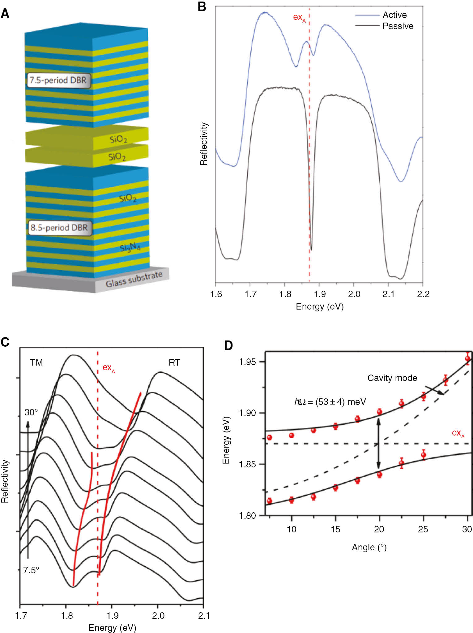 Figure 11: Exciton-polaritons.(A) Schematic of a typical microcavity using a DBR sturcuture. (B) Reflective spectra for passive location in the microcavity without MoS2 (black line) and active location with monolayer MoS2 (blue line). Red dashed line indicates the exciton energy. (C) Angle-resolved reflectivity spectra showing strong coupling at room temperature. The red dashed line represents exciton energy without coupling, whereas the red curves show hybrid exciton-polariton modes. (D) Exciton-polariton dispersion. Red dots, showing the energy of exciton-polariton modes, are extracted from red curves in (C). The dashed black lines refer to energy of exciton and cavity mode. The detuing is −56 meV at zero degrees. A clear Rabi splitting between lower and upper polariton branch is extracted as 53±4 meV. (A–D) Adapted with permission from Macmillan Publishers Ltd., Nature Photonics [80], © 2016.