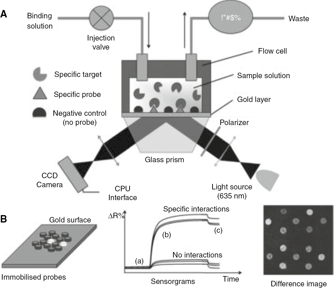 Figure 3: A typical SPRi instrument configuration. A gold film is coated onto one face of a glass prism, then prepared with a microarray of different capture “probes”, and finally exposed to the sample solution. The binding of analytes to the surface changes the local refractive index (RI), which is detected via a corresponding change in the backside reflectivity of the film by a p-polarized laser beam. The illuminating beam is configured to excite surface plasmon polaritons in the gold film, which are highly sensitive to changes in local RI. Adapted from [32].