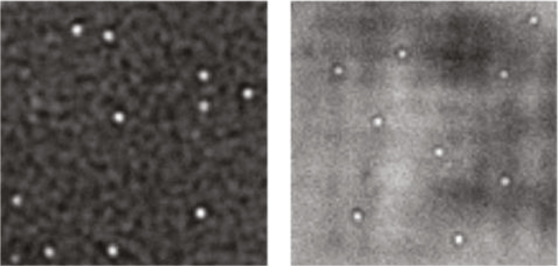 Figure 6: An example readout from an interference reflectance imaging sensor (SP-IRIS) when the substrate is dry (left, 0.8 NA) or when the substrate is mounted in a microfluidic chamber and immersed in water (right, 0.9 NA). Individual vesicular stomatitis virions are detected as small (about 1–3%) diffraction-limited modulations to a reflected reference field. Small fluctuations in the intensity of the reflected reference field are visible in both images. Displayed regions are about 8×8 microns. Adapted from [39] (Reprinted with permission from [39], Copyright 2016 American Chemical Society).