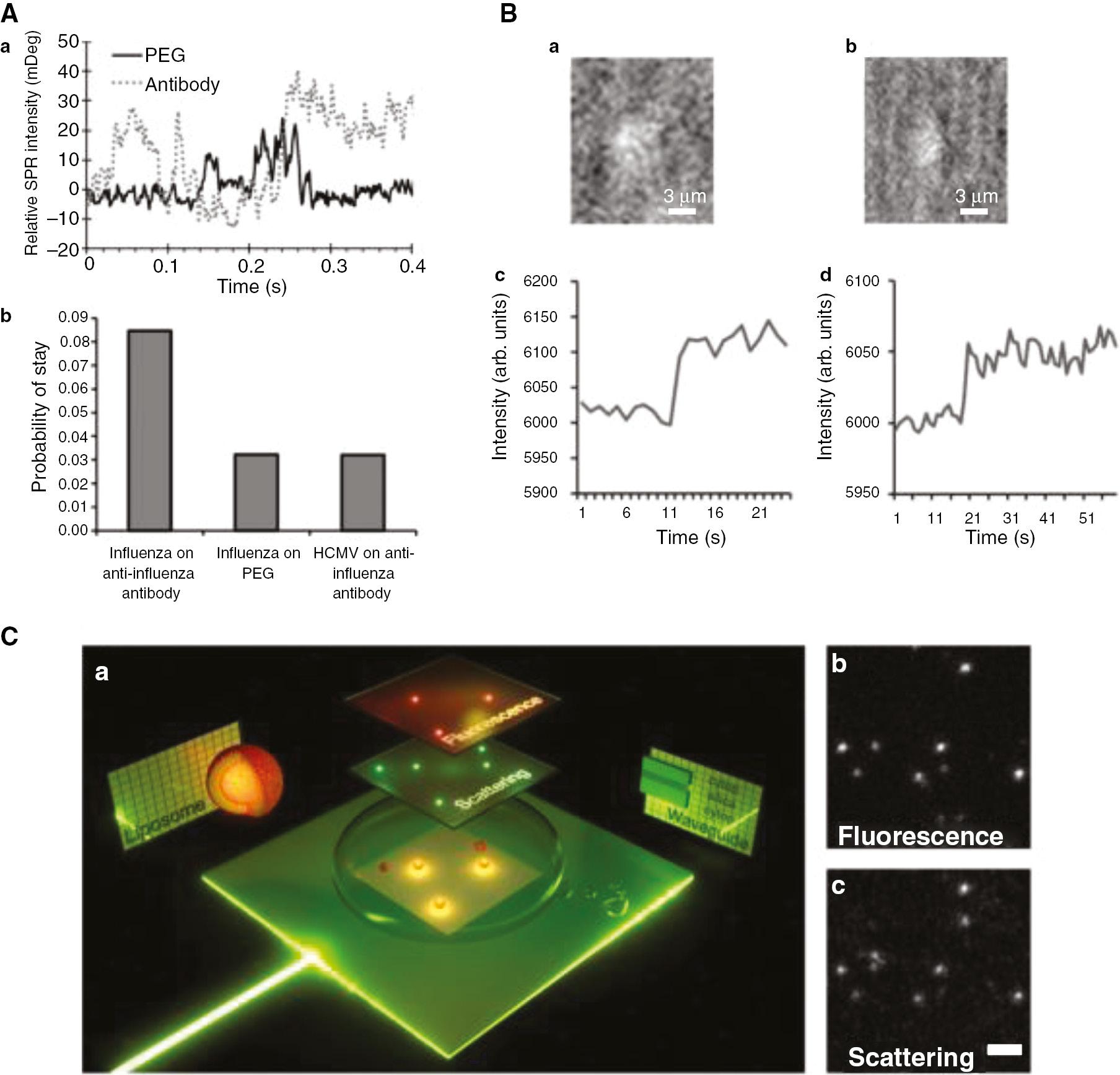 Figure 8: (A) (a) SPR intensity profiles for influenza A viral particles captured on PEG and anti-influenza A antibody-functionalized sensor surfaces. (b) Relative binding probabilities of influenza A on PEG and anti-influenza A antibody-functionalized surfaces, and binding of a different virus HCMV on anti-influenza antibody spots as a control. Adapted from [48]. (B) A SPRi micrograph of (a) IAV or (b) HIV-VLP captured functionalized surfaces. Viruses appear as bright spots on grey background. Intensity change with the binding event of IAV and HIV-VLPs is seen in (c) and (d) as signal increase, respectively. Adapted from [35]. (C) (a) Schematic representation of the planar waveguide chip and detection of fluorescently labeled vesicles in (b) fluorescence and (c) scattering modes. Adapted from [80] (Reprinted with permission from [80], Copyright 2015 American Chemical Society).