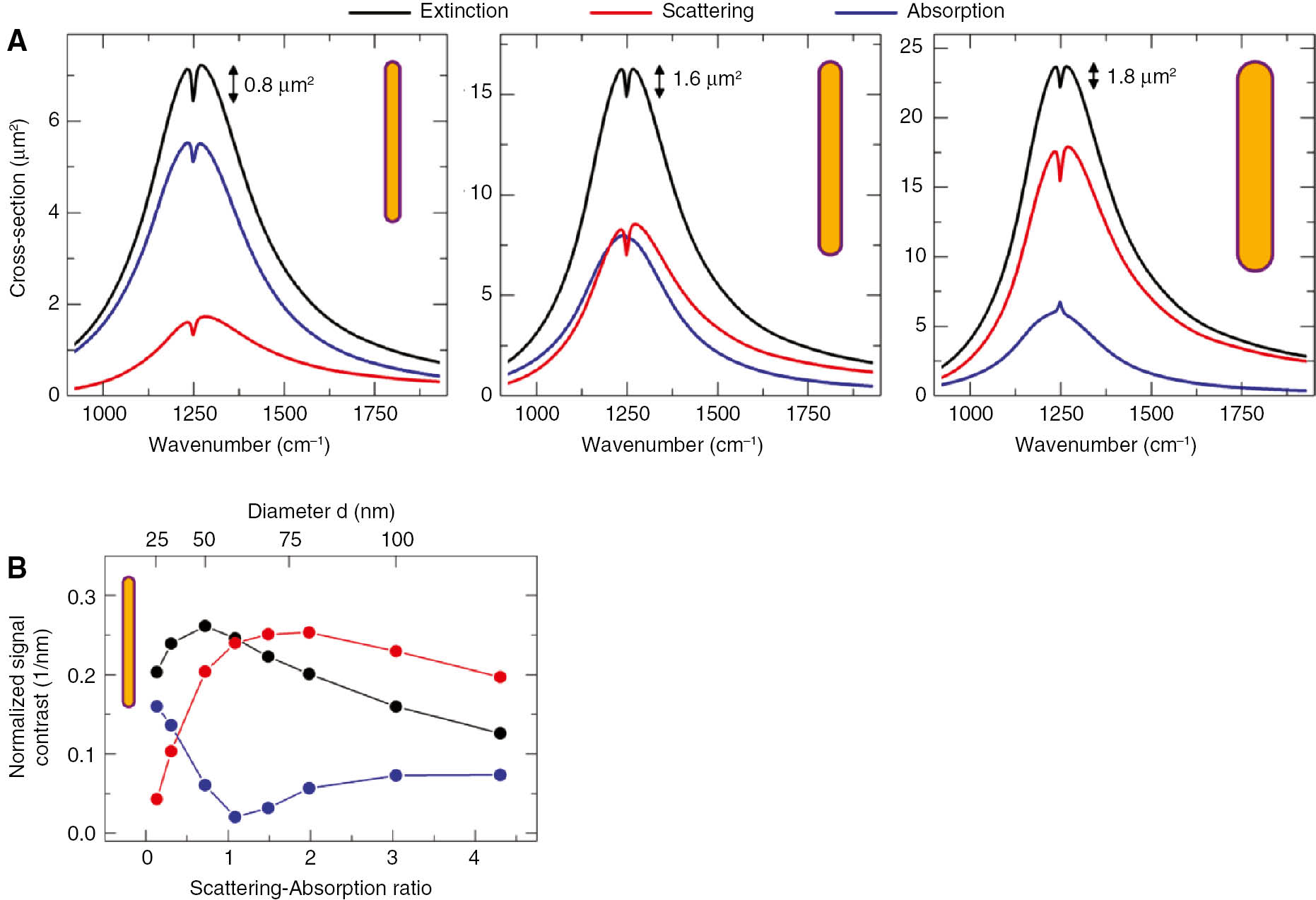 Figure 2: (A) Absorption, scattering, and extinction cross-section spectra of a dominantly absorbing antenna (left, d=35 nm, l=2.45 μm), a larger antenna with scattering approximately equal to absorption (middle, d=60 nm, l=2.97 μm), and an antenna that dominantly scatters (right, d=100 nm, l=3.2 μm). The resonance frequency of the hosting antennas is kept at approximately 1250 cm−1. The sample is a dielectric layer homogeneously covering the antenna surface (thickness t=10 nm). (B) Vibrational signal contrast in the absorption, scattering, and extinction cross-section spectra (normalized to the volume of the dielectric layer) versus the ratio between plasmonic scattering and absorption for fixed plasmonic resonance frequency and varying volume of the hosting antenna. Adapted with permission from Ref. [27]. Copyright 2015 American Chemical Society.