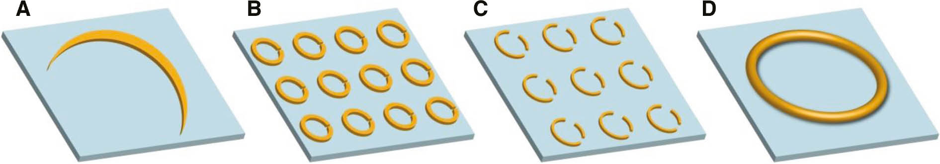 Figure 11: Various ring-shaped structures.
