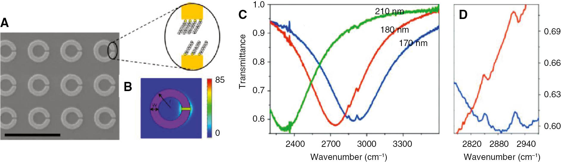 Figure 12: (A) Scanning electron micrograph of a typical SRR array. Scale bar is 1 μm. Inset shows a schematic of a SAM of ODT molecules in the gap of a single SRR for absorption spectroscopy. (B) Simulated near-field amplitude distribution around a SRR on resonance for polarization along the gap. (C) Measured transmittance spectra for three different SRR arrays with radii 170 nm (blue), 180 nm (red), and 210 nm (green) with the SAM. Two peaks corresponding to ODT absorption are clearly visible. (D) Close-up view of the resonance region in (C). Adapted from Ref. [102], with the permission of AIP Publishing.
