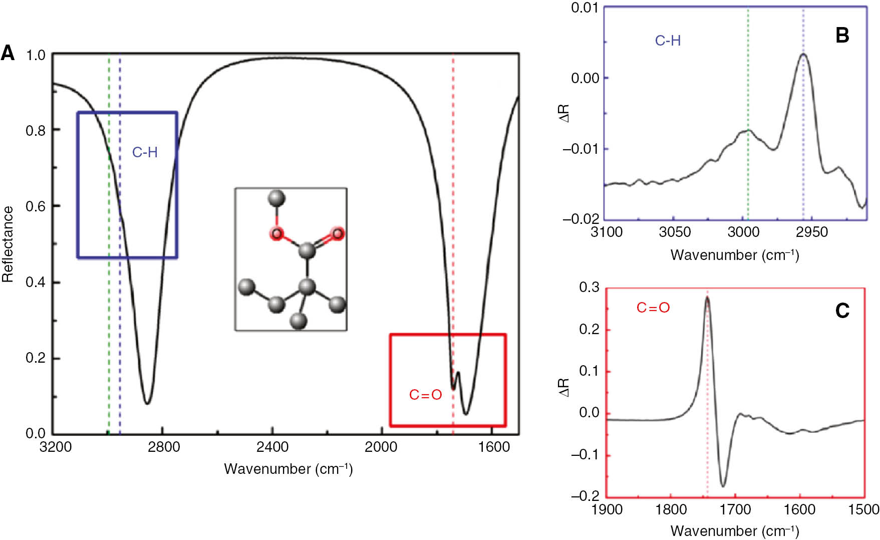 Figure 19: SEIRA spectroscopy of PMMA on the absorber. (A) Reflectance spectrum of the absorber after the coating of a 4 nm-thick PMMA film. Characteristic vibrational stretches of C=O and C-H are visible on the spectrum as indicated by the dashed lines. The inset shows the repeat unit of PMMA polymer. (B) Reflectance difference spectrum of the C-H group and (C) C=O band. Reprinted with permission from Ref. [133]. Copyright 2012 American Chemical Society.
