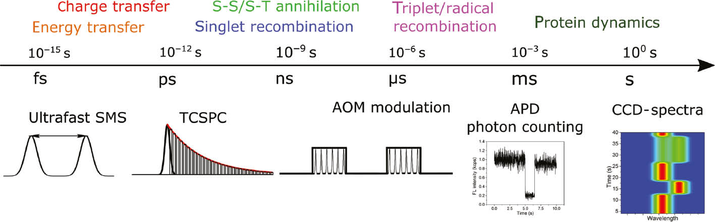 Figure 2: Timescales of photosynthetically relevant electronic processes observable by SMS. Top: processes taking place at the indicated timescale. Bottom: corresponding SMS techniques which can be used for their measurement; see text for further details.