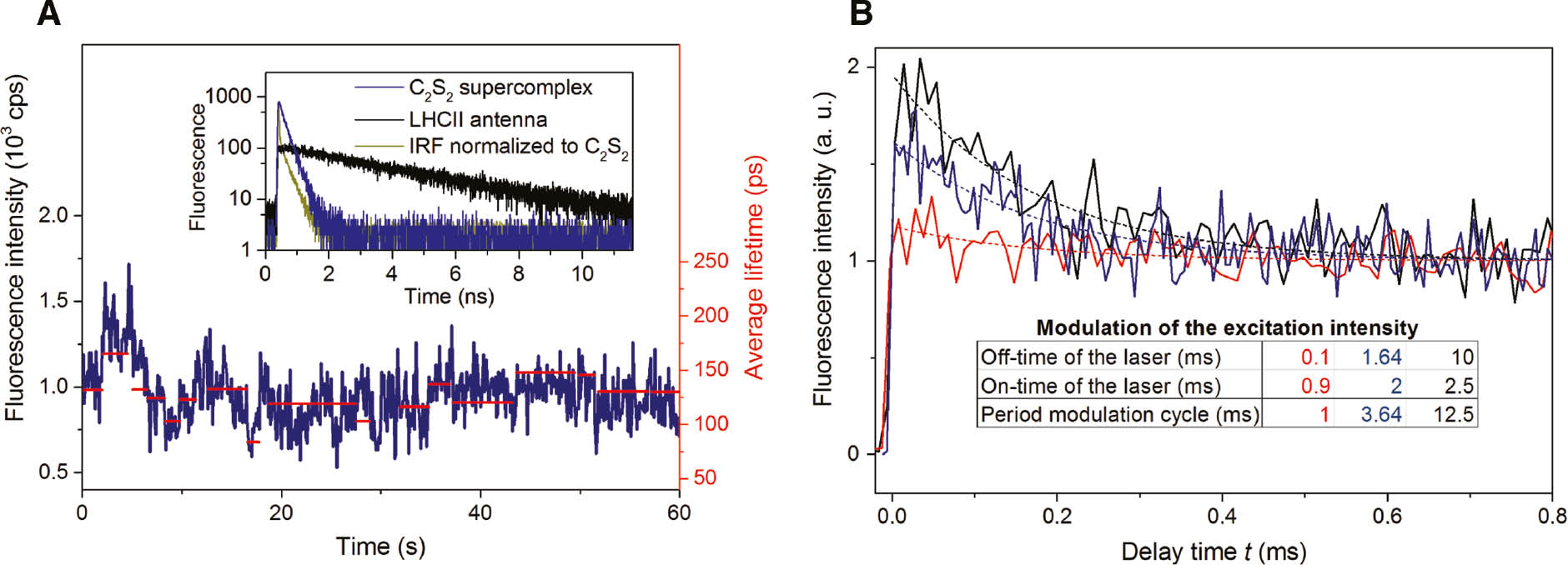 Figure 5: (A) Fluorescence intensity traces of a C2S2 supercomplex (blue line) with intensity variations on a second time scale that resemble fluorescence blinking events exhibited by isolated antenna complexes. The quenched average lifetime (red line) is shown on the right y axis. The corresponding fluorescence decay histograms of the C2S2 supercomplex (blue line in A) and the LHCII complex (black line in Figure 1A), accumulated over 60 s, are shown in the inset of (A) on a semi-logarithmic scale with the same respective colors. The instrument response function with a FWHM of 38 ps is depicted in green. (B) The light-induced fluorescence intensity kinetics of an exemplary single C2S2 complex for three different excitation modulation settings. Periodic modulation of the excitation intensity (i.e. switching the laser illumination on and off) and histogramming the fluorescence photon arrival times into one such modulation cycle allows one to directly visualize the accumulation and decay of a quencher on the millisecond time scale. The dashed lines indicate a fitted single-exponential function of the form F(t)=F0+F1·e−kt. The decay kinetics were normalized to F0=1 (identical steady state conditions due to the same excitation intensity for all modulation settings). Reproduced from Ref. [24]. With permission from the PCCP Owner Societies.