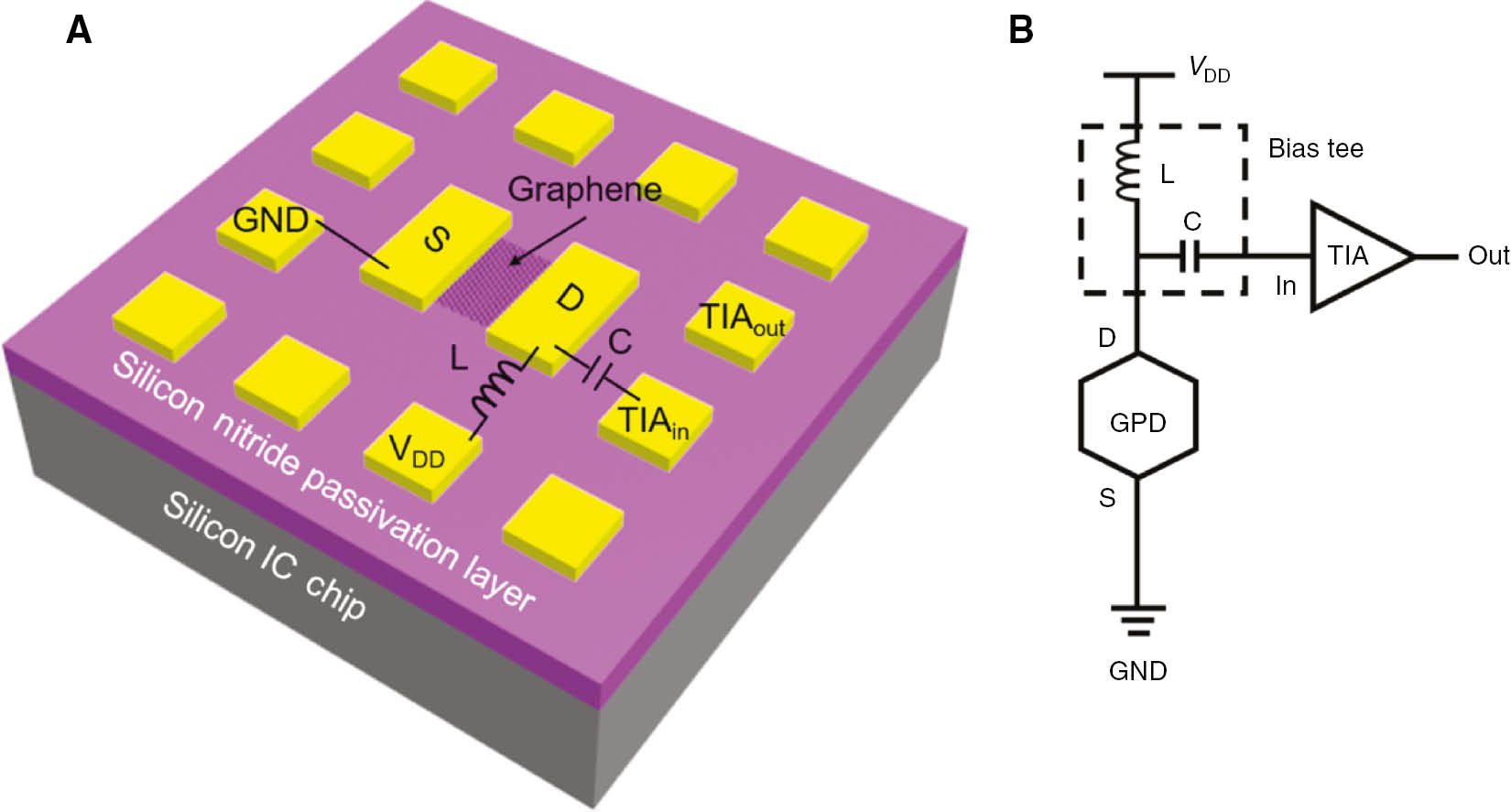 Figure 1: Three-dimensional schematic of GPD-based broadband prototype optical receivers (A) and schematic illustration of the corresponding circuit implementation (B) are shown.