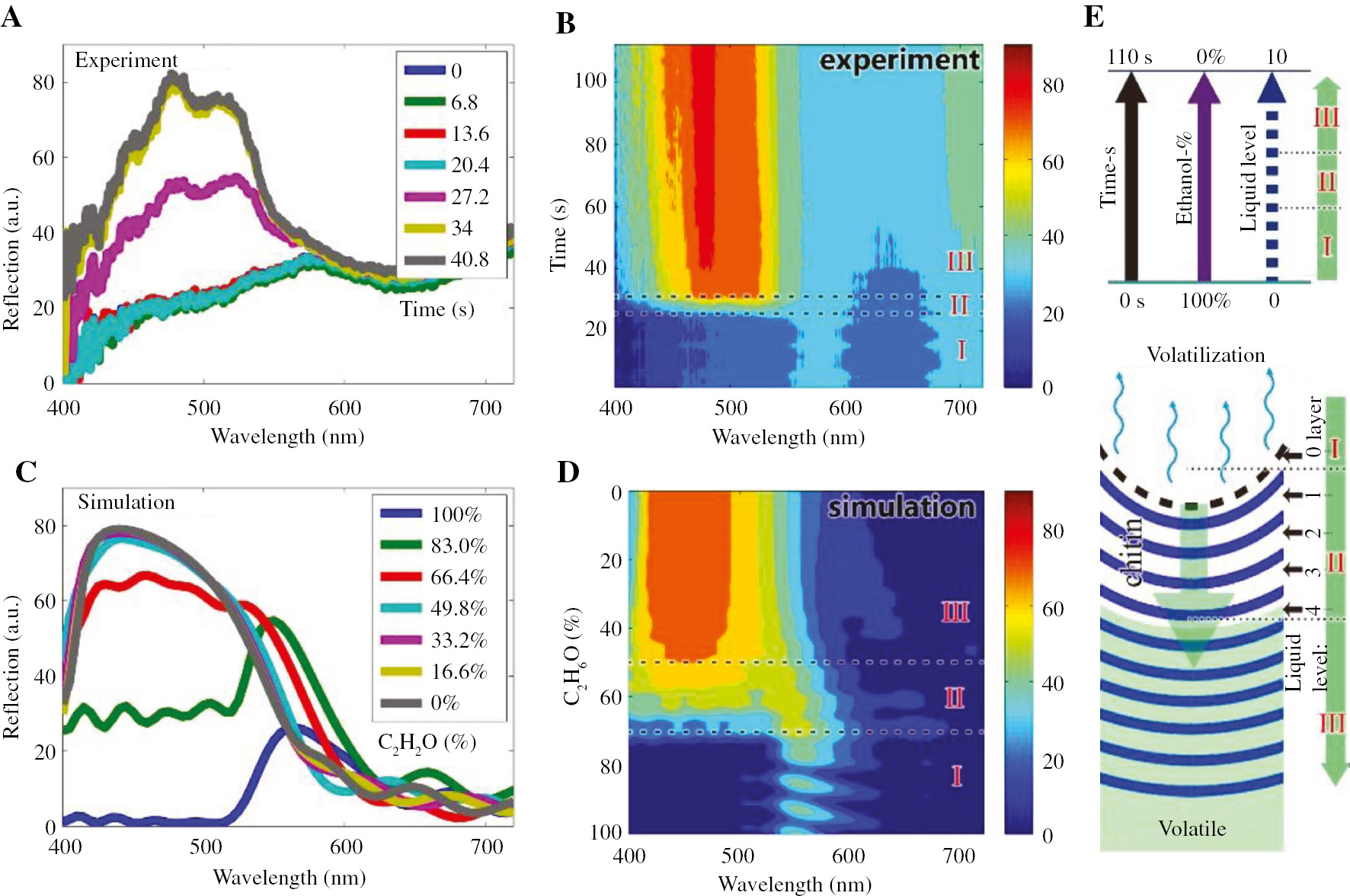 Figure 4: Experiment and simulation reflectance of butterfly wing (not sealed) with the natural vaporization of ethanol show the optical response process. (A, B) Line plot and contour plot of experiment reflectance considered as a function of time, the reflective data tested at 1.7-s intervals. (C, D) Line plot and contour plot of simulation reflectance considered as a function of different quantity of ethanol. (E) Diagram of the ethanol volatilization in periodic concave multilayer, the time of the volatilization is from 0 s to 110 s, the corresponding change of ethanol is from 100% to 0% (in simulation model), and the corresponding liquid level is changed from layer 0 to layer 10.