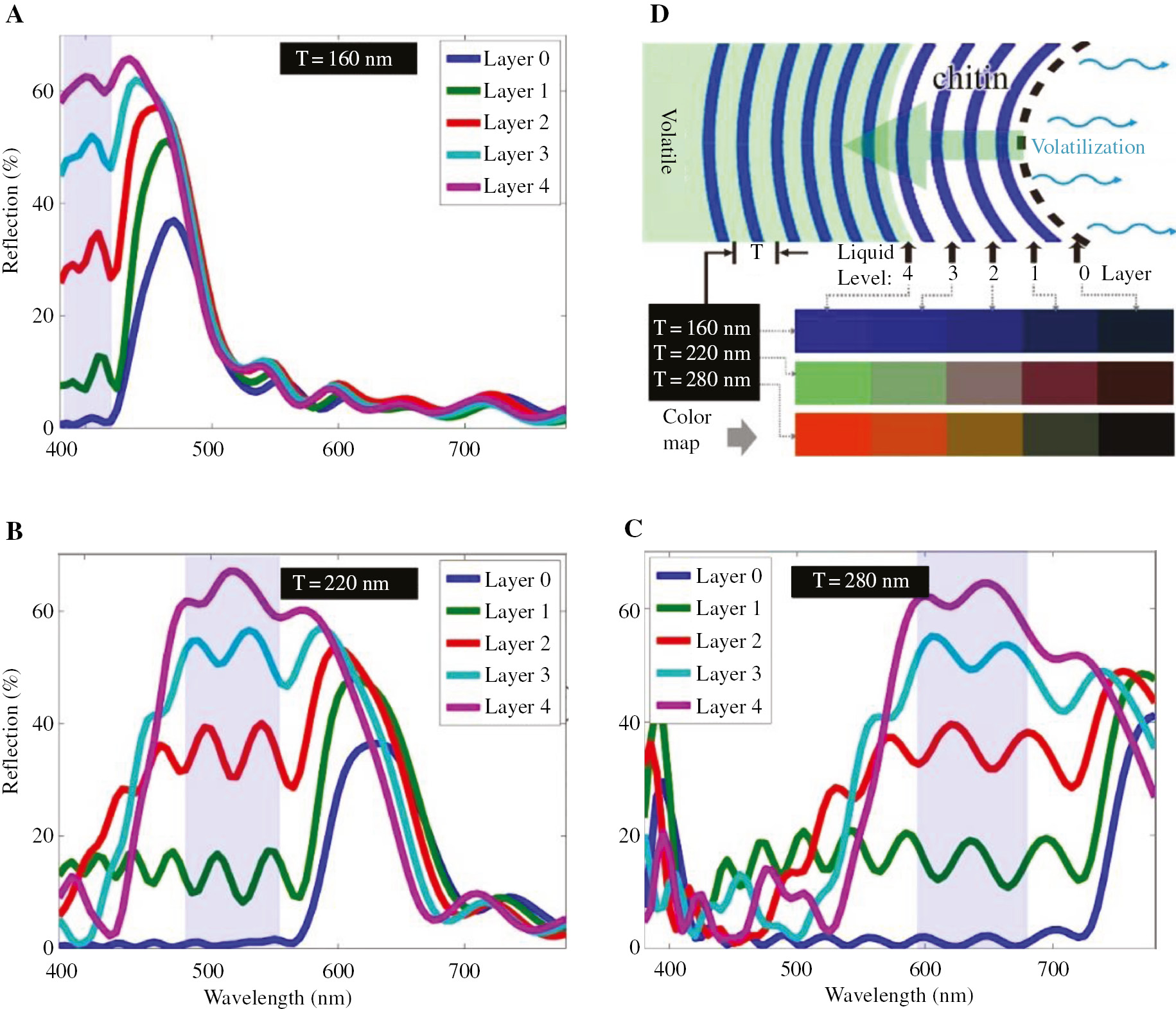 Figure 6: Computed reflectivity spectra show the effect of T (the period of periodic concave multilayer). (A, B, C) Reflectivity spectra with T=160 nm, 220 nm, and 280 nm, layers 0–4: the liquid level of ethanol, as shown in (D). (D) Schematic plot of the model shows the volatilization of ethanol, the liquid levels are labeled as 0 to 4. The color map with T=160 nm, 220 nm, and 280 nm was calculated from the corresponding reflectance.