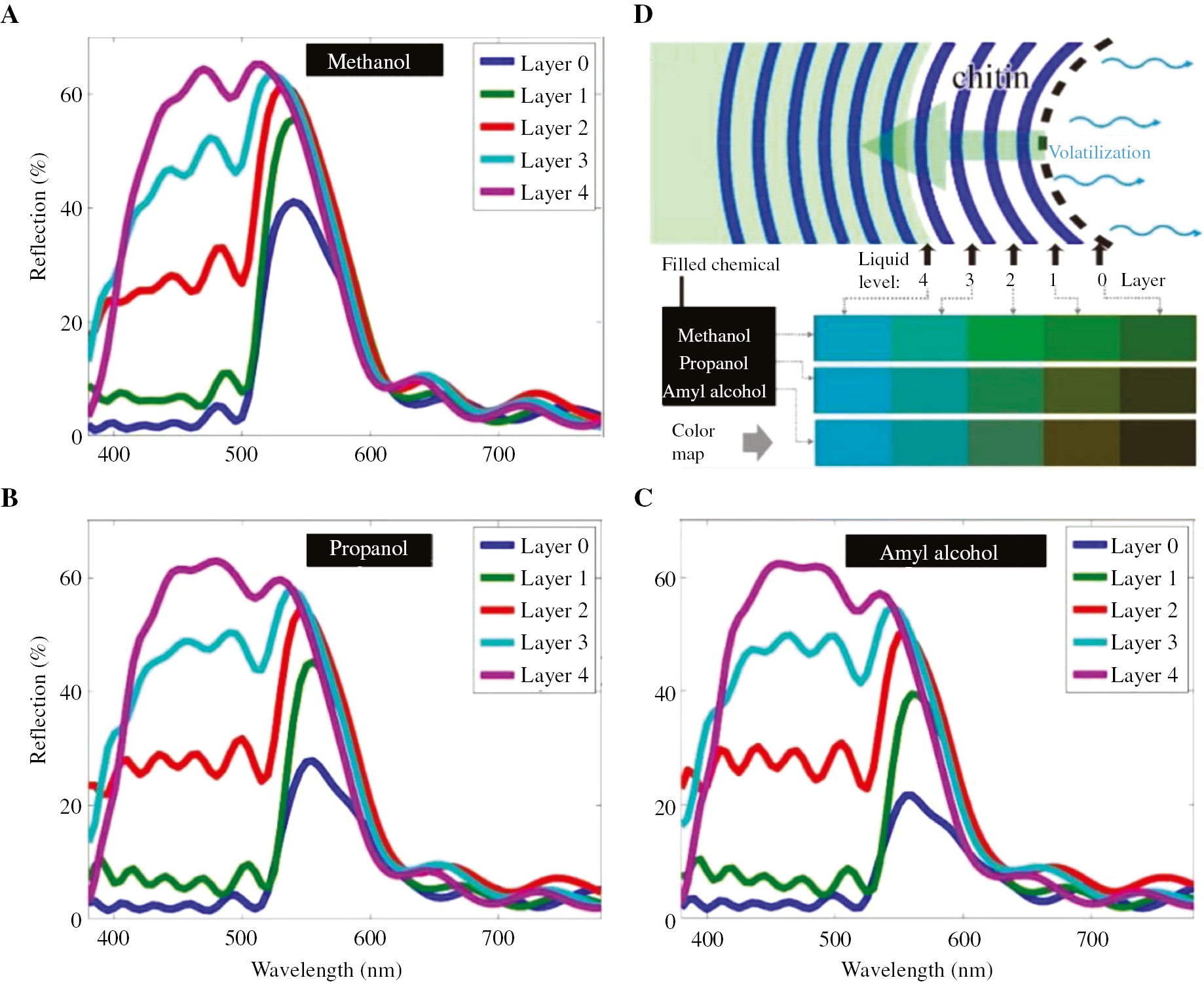 Figure 7: Computed reflectivity spectra show the effect of different filled chemicals: (A) methanol (refractive index=1.33), (B) propanol (refractive index=1.386), and (C) amyl alcohol (refractive index=1.411). Layers 0–4: the liquid level of ethanol shown in (D). (D) Schematic plot of the model shows the volatilization of the ethanol, the liquid levels are labeled as 0 to 4. The color map with different filled chemicals was calculated from the corresponding reflectance.